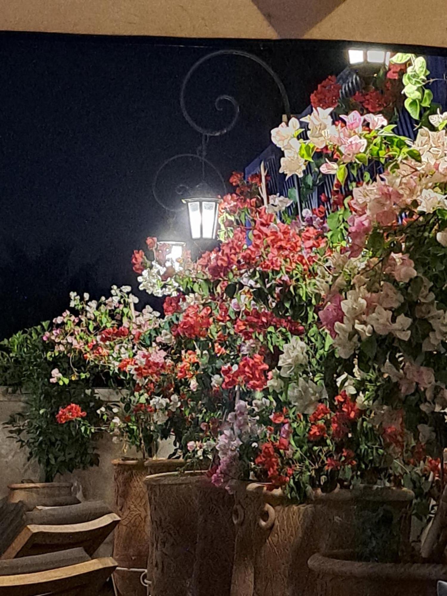 Dar Al Kounouz Couette-café 3*